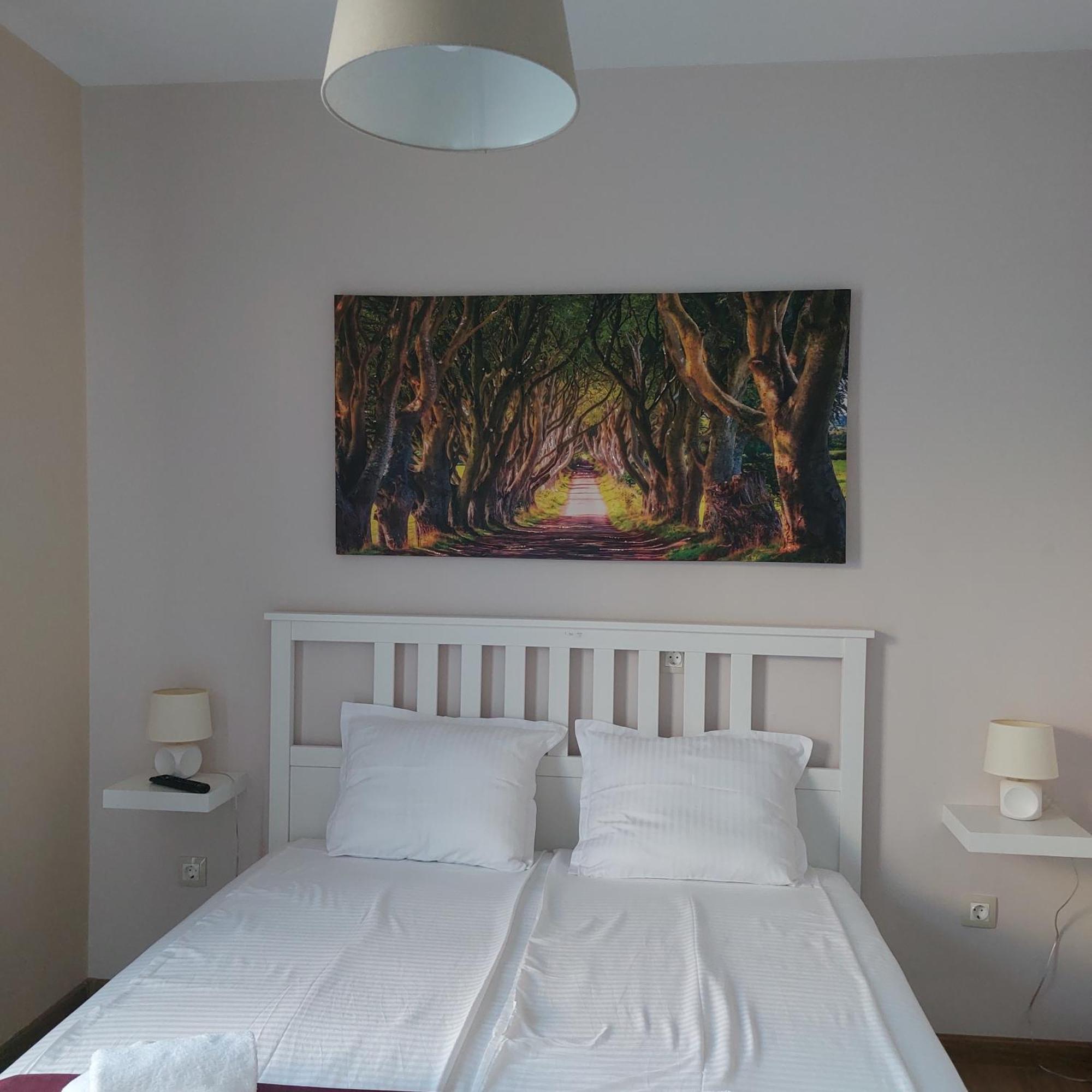 Stella Guesthouse Сапарева-Баня Номер фото